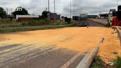 Imagem do Milho cobrindo a estrada